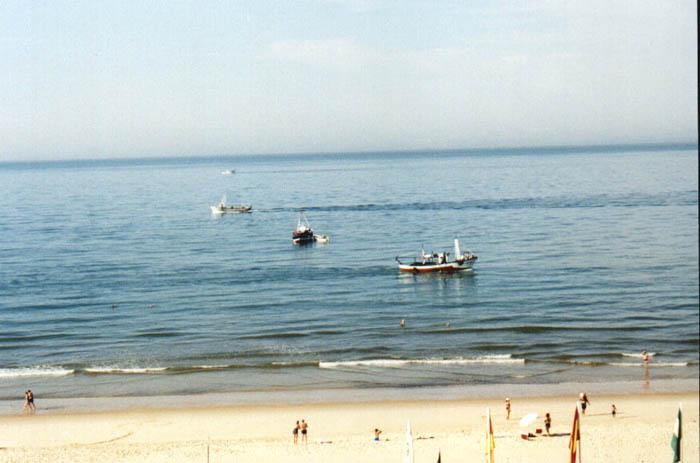 Anda07.jpg