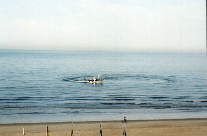 Anda08.jpg