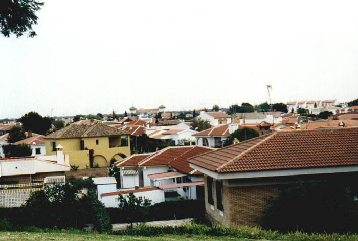 Anda16.jpg