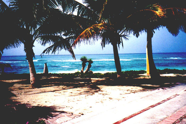 cayo012.jpg