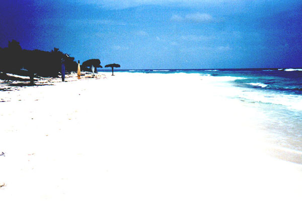 cayo015.jpg