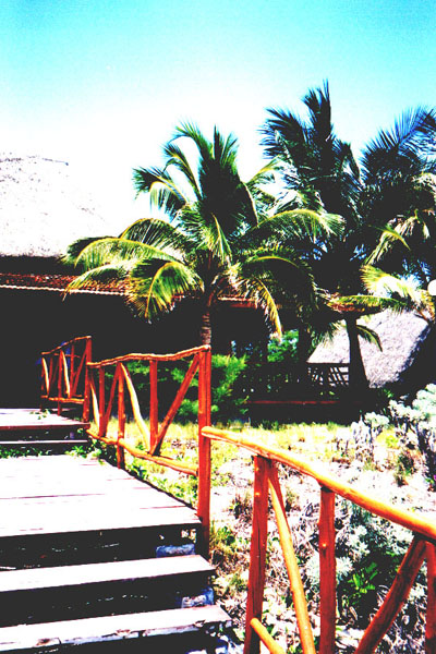 cayo017.jpg