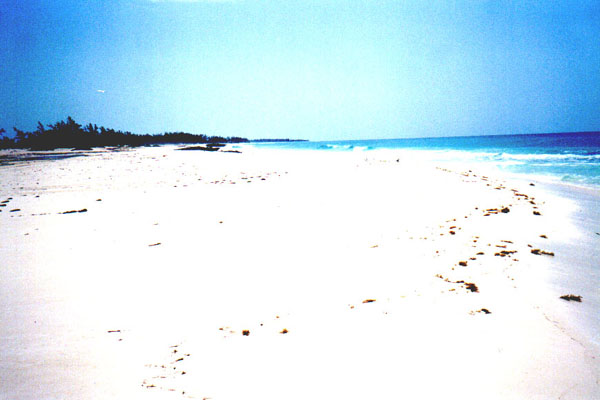 cayo022.jpg