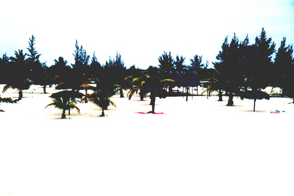 cayo025.jpg