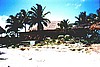 cayo016.jpg