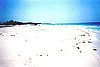 cayo022.jpg