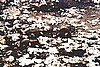 cayo030.jpg