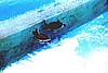 cayo032.jpg
