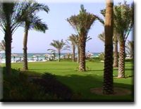 Ajman Kempinski: Garten