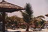 dubai026.jpg