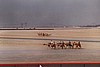 dubai036.jpg
