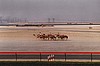 dubai037.jpg