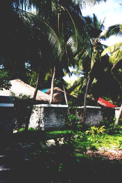Ellai001.jpg