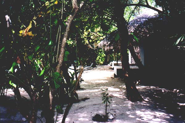 Ellai002.jpg