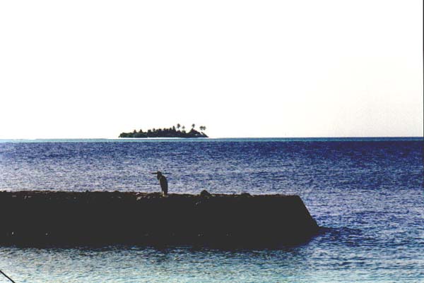 Ellai009.jpg
