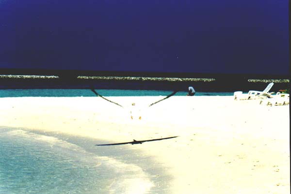 Ellai012.jpg