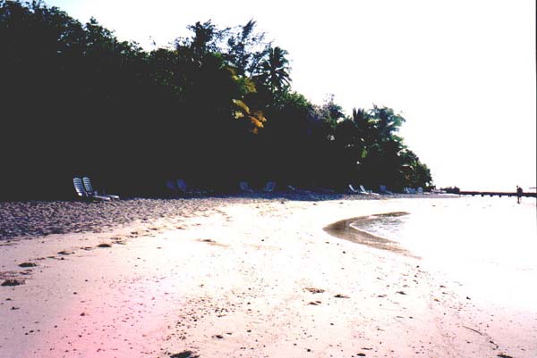 Ellai020.jpg