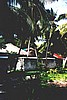 Ellai001.jpg