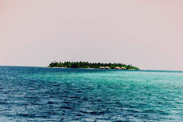 embudu02005.jpg