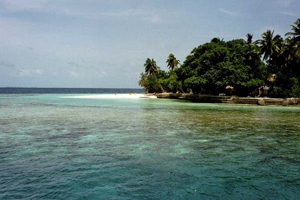 embudu02009.jpg