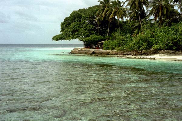 embudu02015.jpg