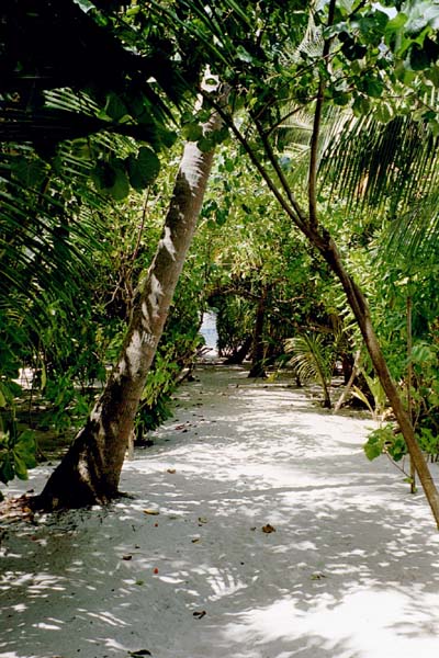 embudu02025.jpg