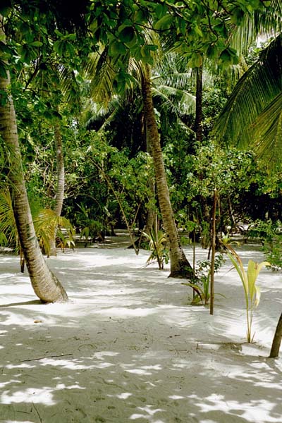 embudu02027.jpg