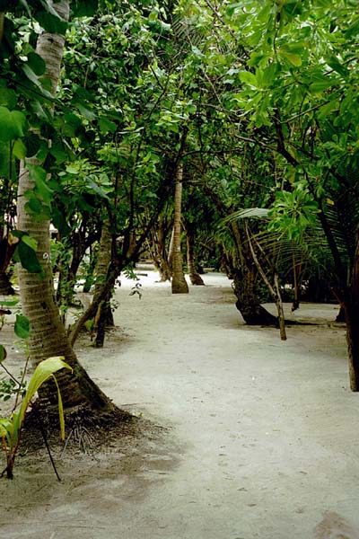 embudu02028.jpg