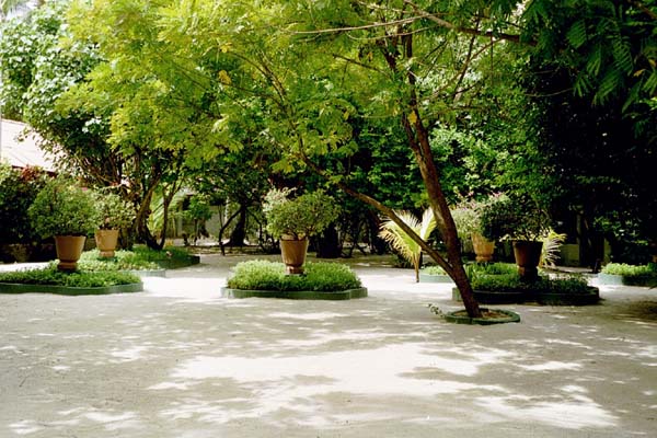 embudu02030.jpg
