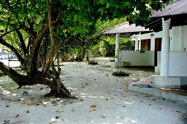 embudu02032.jpg