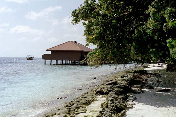 embudu02036.jpg