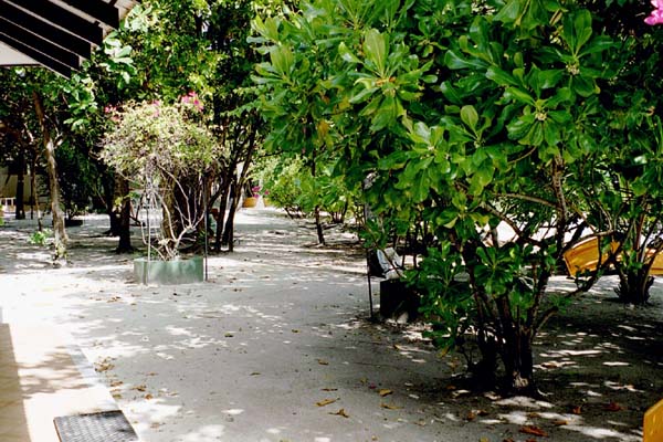 embudu02042.jpg