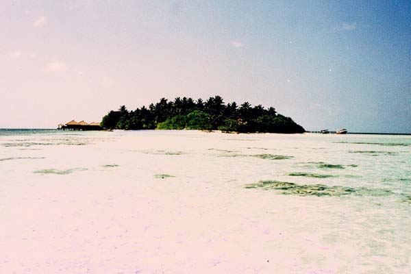 embudu02047.jpg