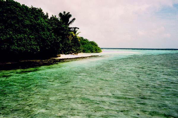 embudu02050.jpg