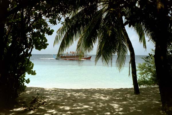 embudu02055.jpg