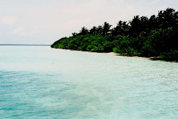 embudu02059.jpg