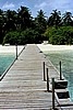 embudu02021.jpg