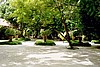 embudu02030.jpg