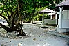 embudu02032.jpg
