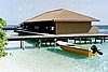 embudu02034.jpg