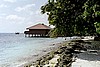 embudu02036.jpg