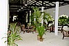 embudu02043.jpg
