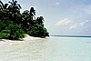 embudu02058.jpg