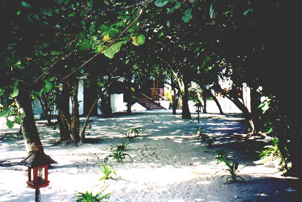 Eriya003.jpg