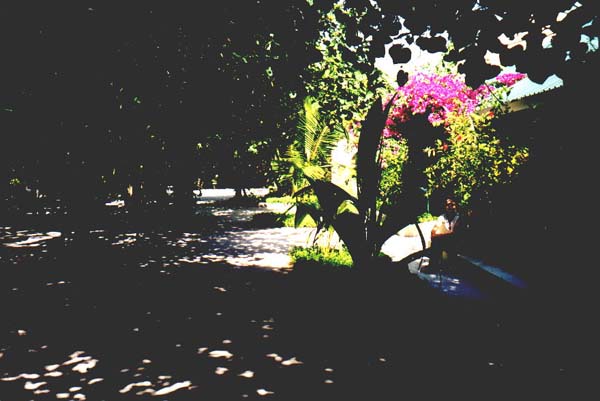 Eriya004.jpg