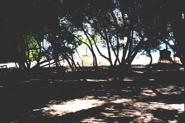 Eriya005.jpg
