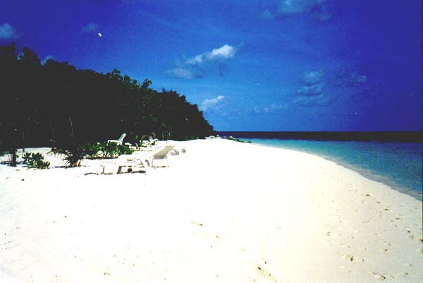Eriya008.jpg