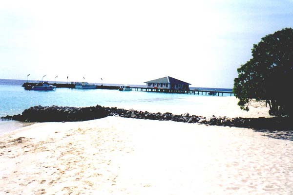 Eriya010.jpg