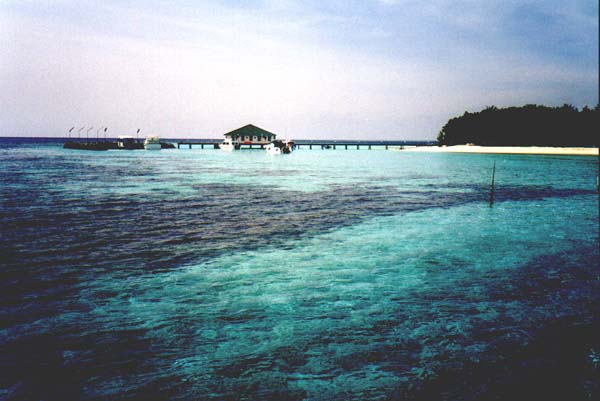 Eriya015.jpg