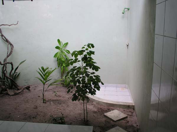 hel0048P3030845.jpg